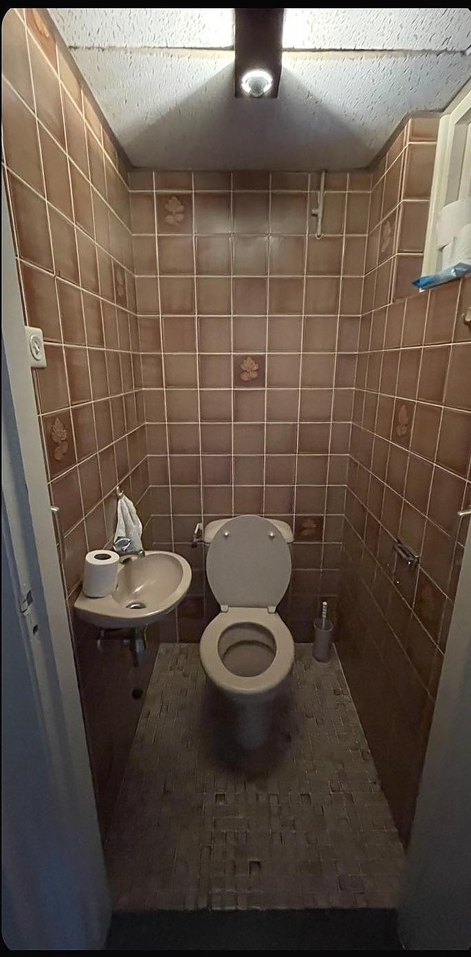 Het toilet voor de renovatie, met bruin tegelwerk uit de jaren zeventig
